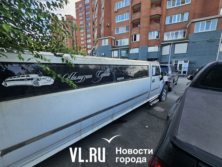 В России лимузин Hummer признали «незаконной постройкой». Как его будут эвакуировать, непонятно